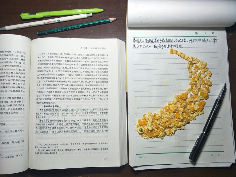 Apa Itu Jurnal SINTA 4